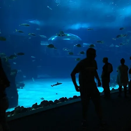 Lägenhet Vista Mar Playa De Canteras